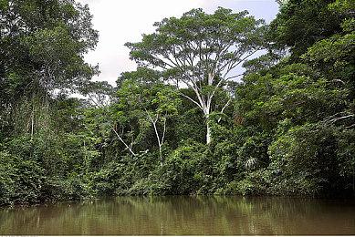 黎明杀机开发商新作《代号S》公布 美女解谜